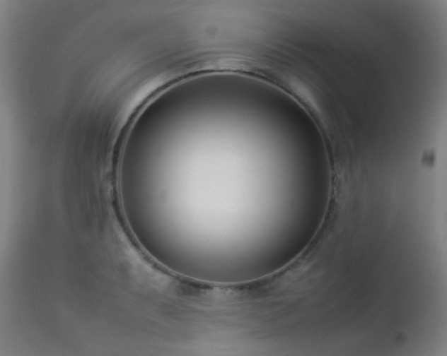 X0000112871087200908211421