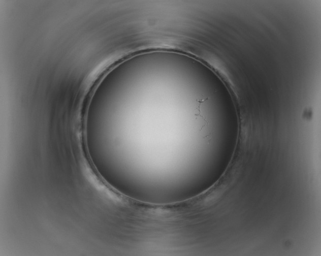 X0000112871088200908211421