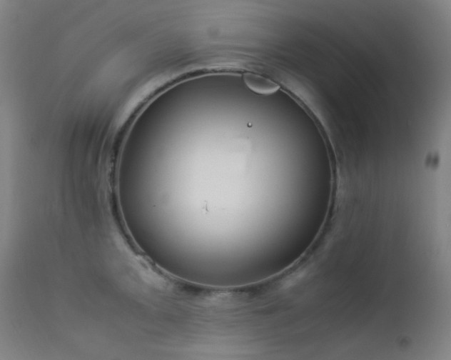 X0000112871093200908211420