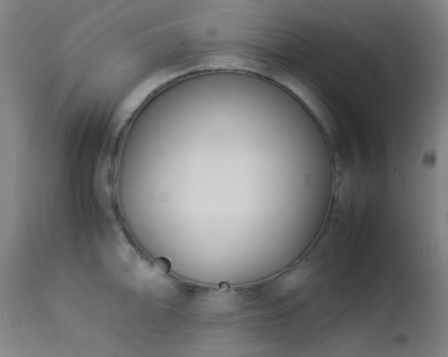 X0000112871094200908211420