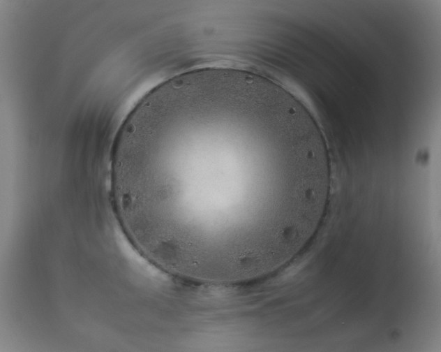 X0000112871095200908211420