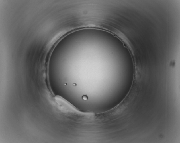 X0000112871096200908211420