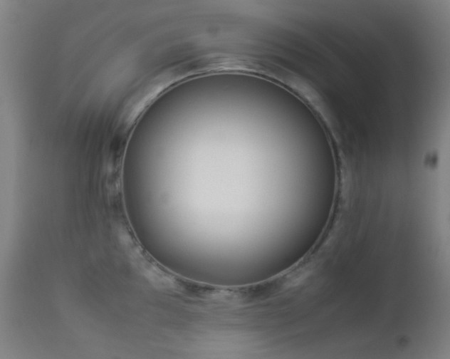 X0000112871097200908211420