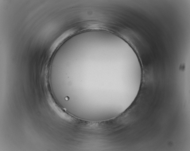 X0000112871098200908211420