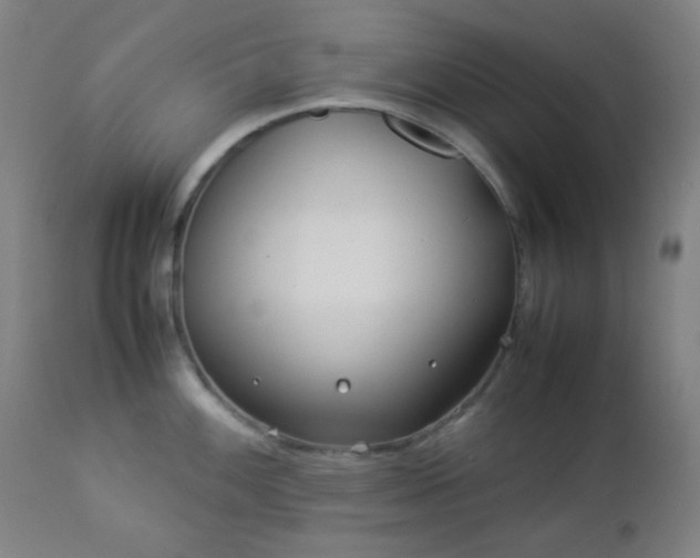 X0000112871100200908211420