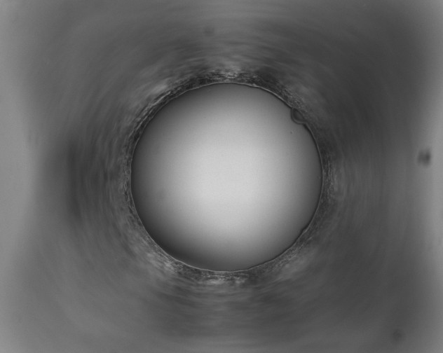 X0000112871105200908211419