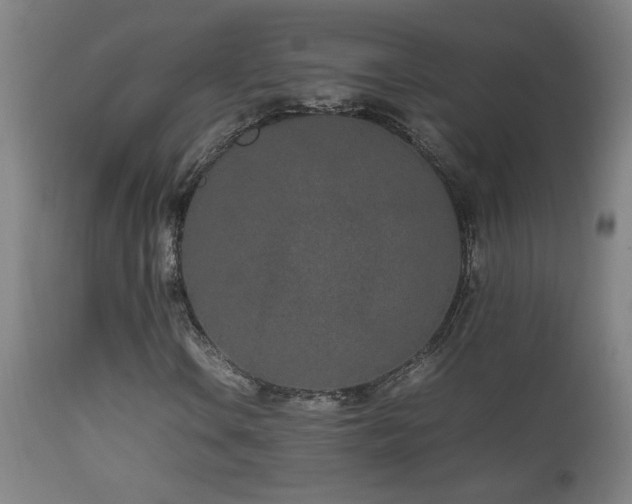 X0000112871106200908211419