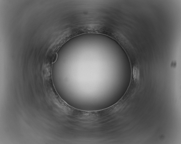 X0000112871107200908211419