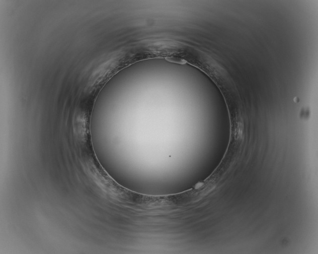X0000112871108200908211419