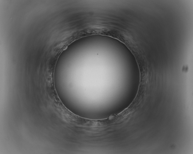 X0000112871109200908211419