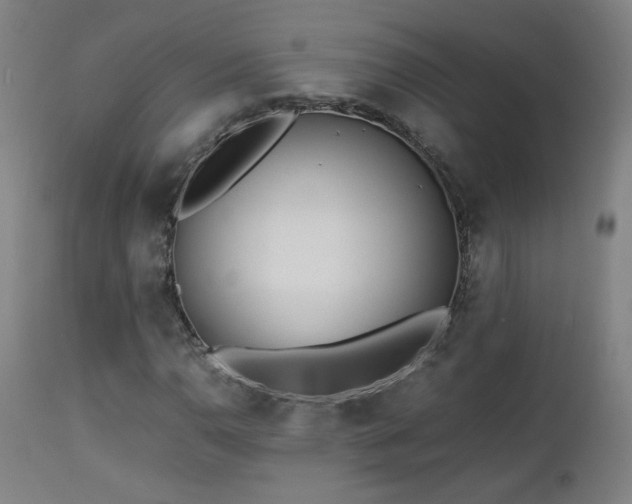 X0000112871110200908211419