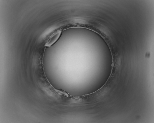 X0000112871112200908211420