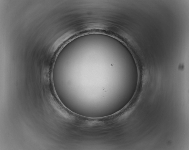 X0000112871113200908211420