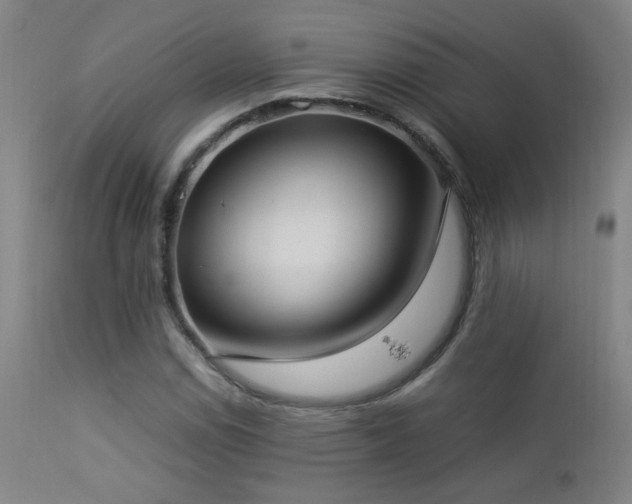 X0000112871114200908211420