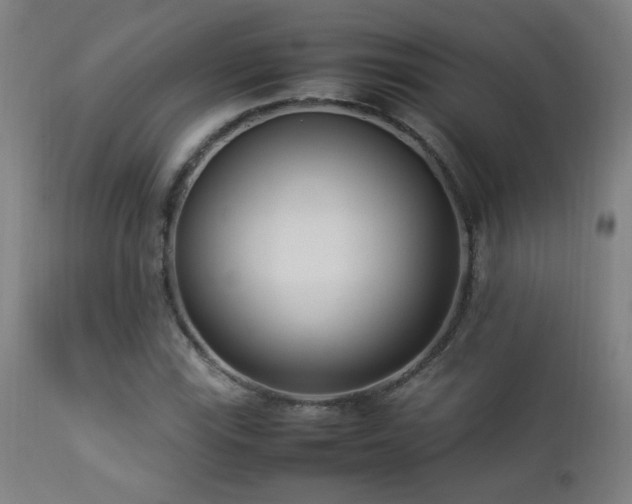 X0000112871115200908211420