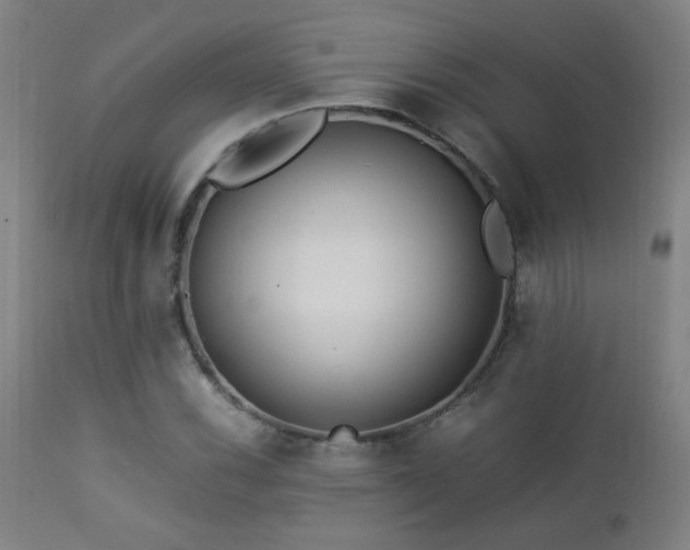 X0000112871116200908211420