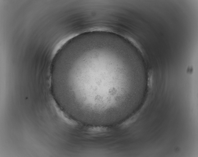 X0000112871117200908211420