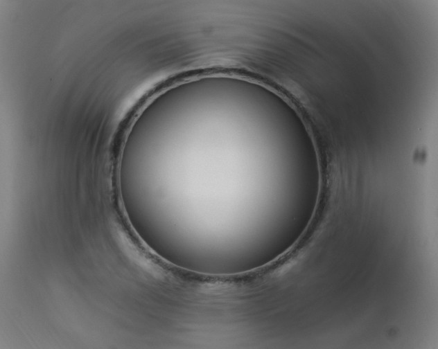 X0000112871118200908211420