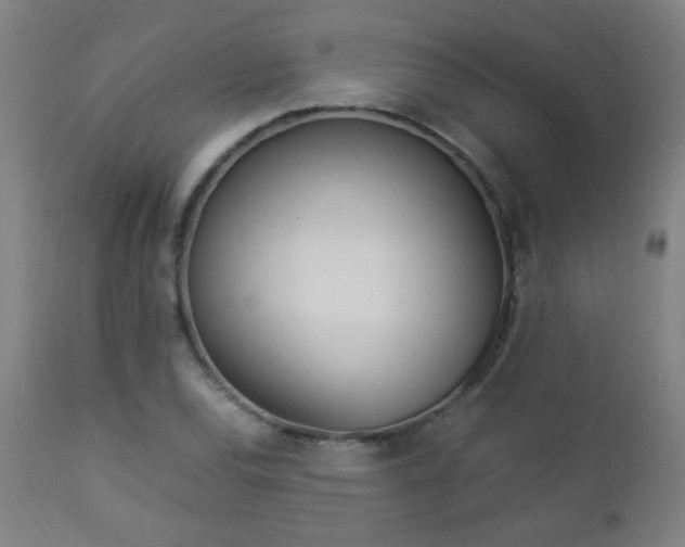 X0000112871120200908211420