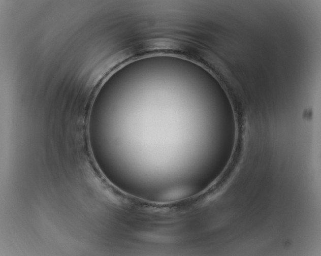 X0000112871121200908211420
