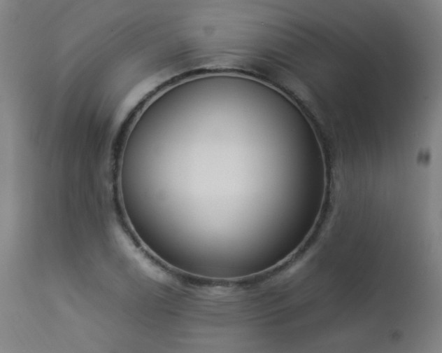X0000112871122200908211420