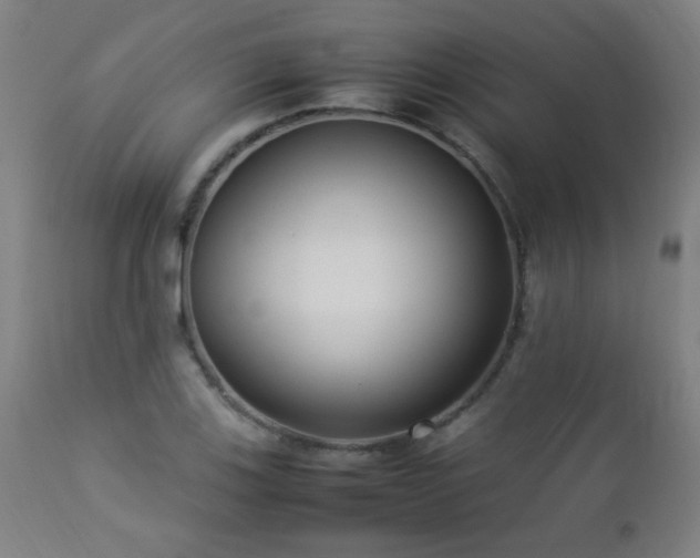 X0000112871123200908211420