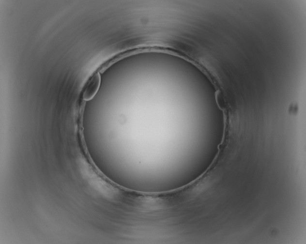X0000112871124200908211420