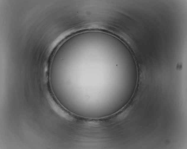 X0000112871126200908211420