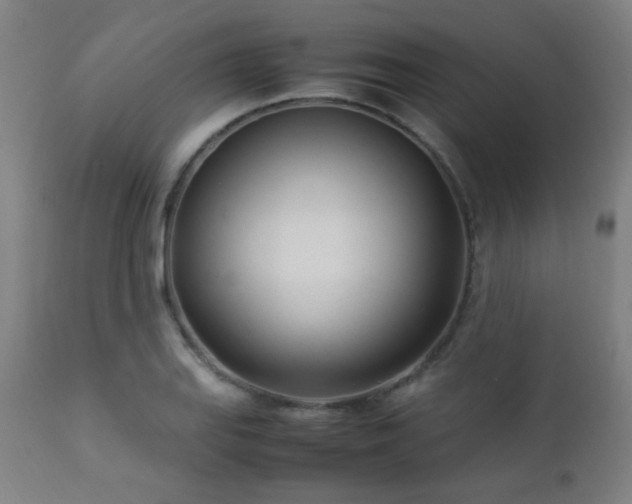 X0000112871127200908211420