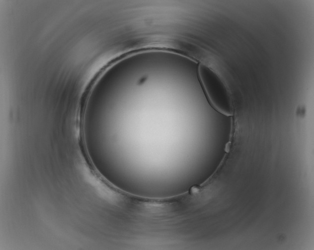 X0000112871132200908211420
