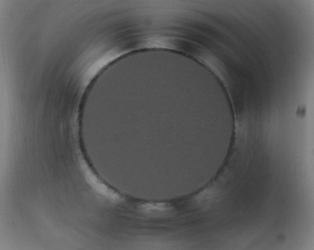 X0000112871133200908211420