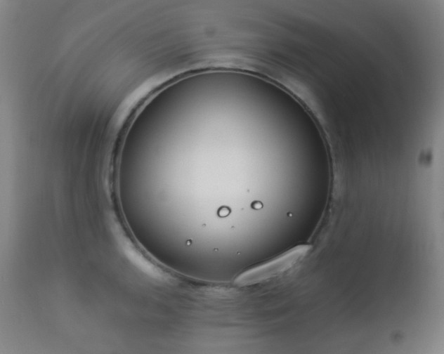 X0000112871136200908211420