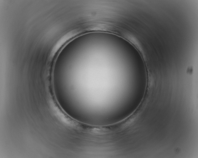 X0000112871138200908211420
