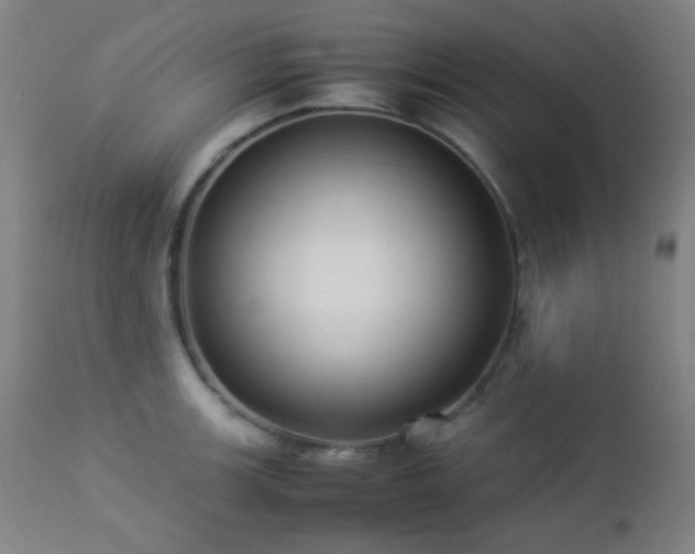 X0000112871139200908211420