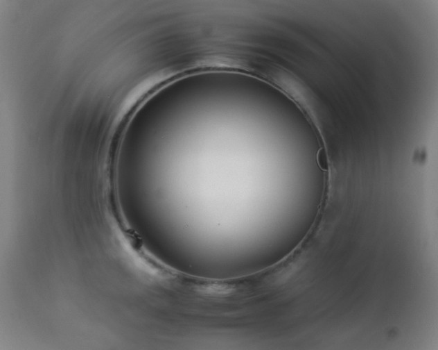 X0000112871141200908211420
