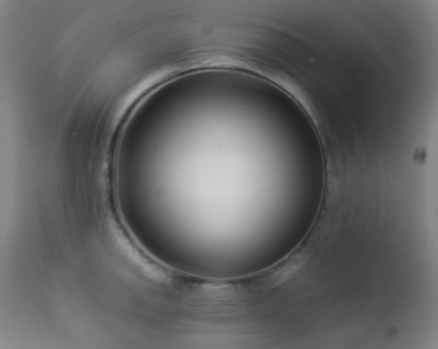 X0000112871142200908211420