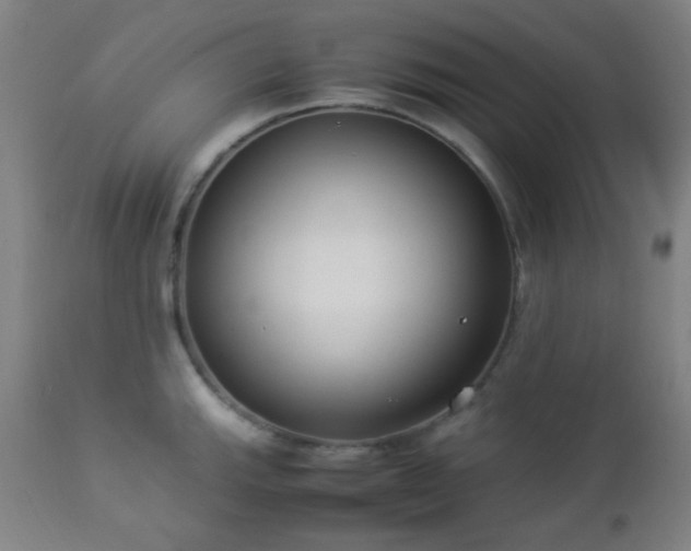 X0000112871143200908211420