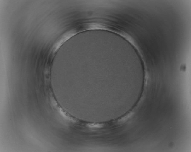 X0000112871145200908211420