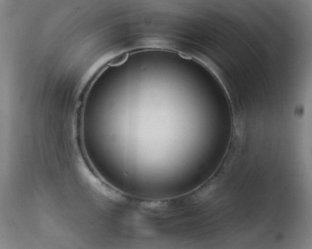 X0000112871147200908211420