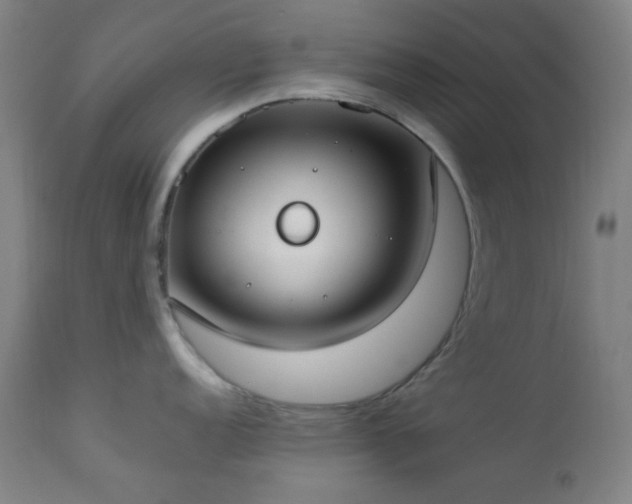X0000112871152200908211420
