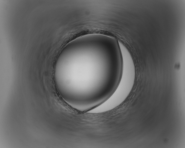 X0000112871153200908211419