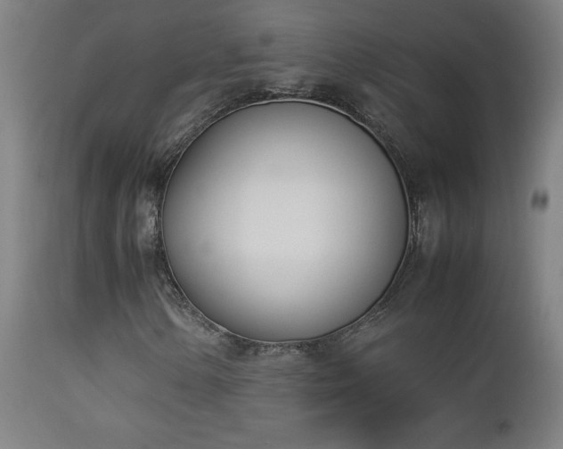 X0000112871154200908211419