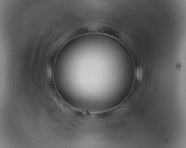 X0000112871155200908211419