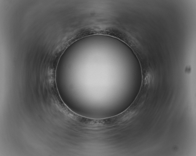 X0000112871156200908211419