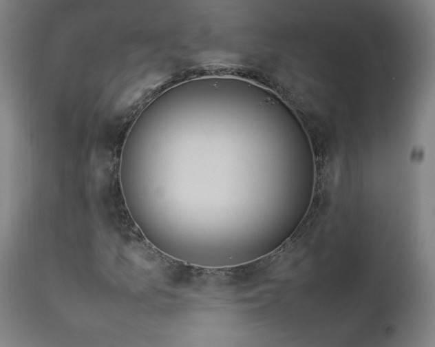 X0000112871157200908211419