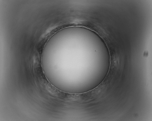 X0000112871158200908211419