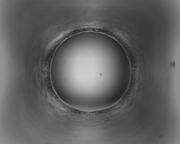 X0000112871159200908211419