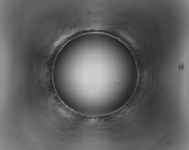 X0000112871160200908211419