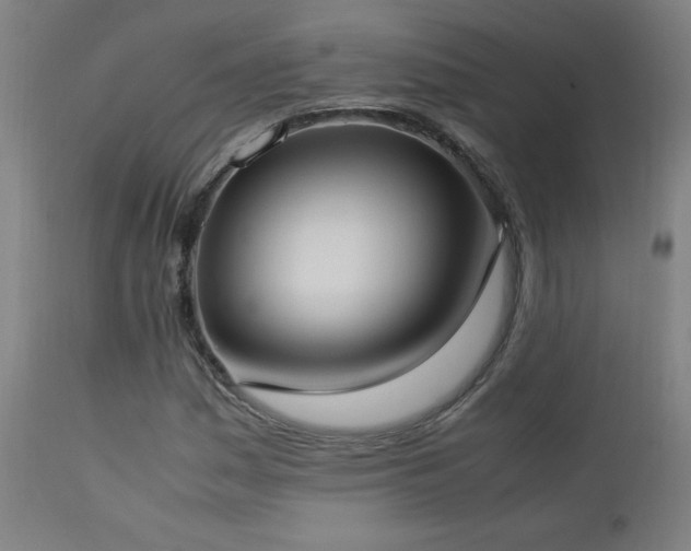 X0000112871161200908211419