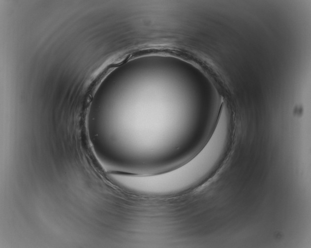 X0000112871162200908211419
